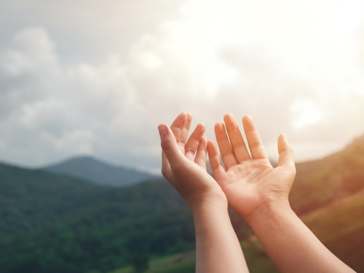 {{brizy_dc_image_alt entityId=